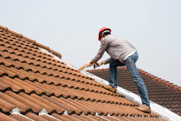 Best Rubber Roofing (EPDM, TPO)  in Lakeside, CA